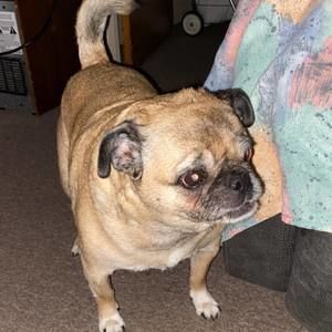 Meet your Posher, Kathey